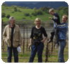 Napa